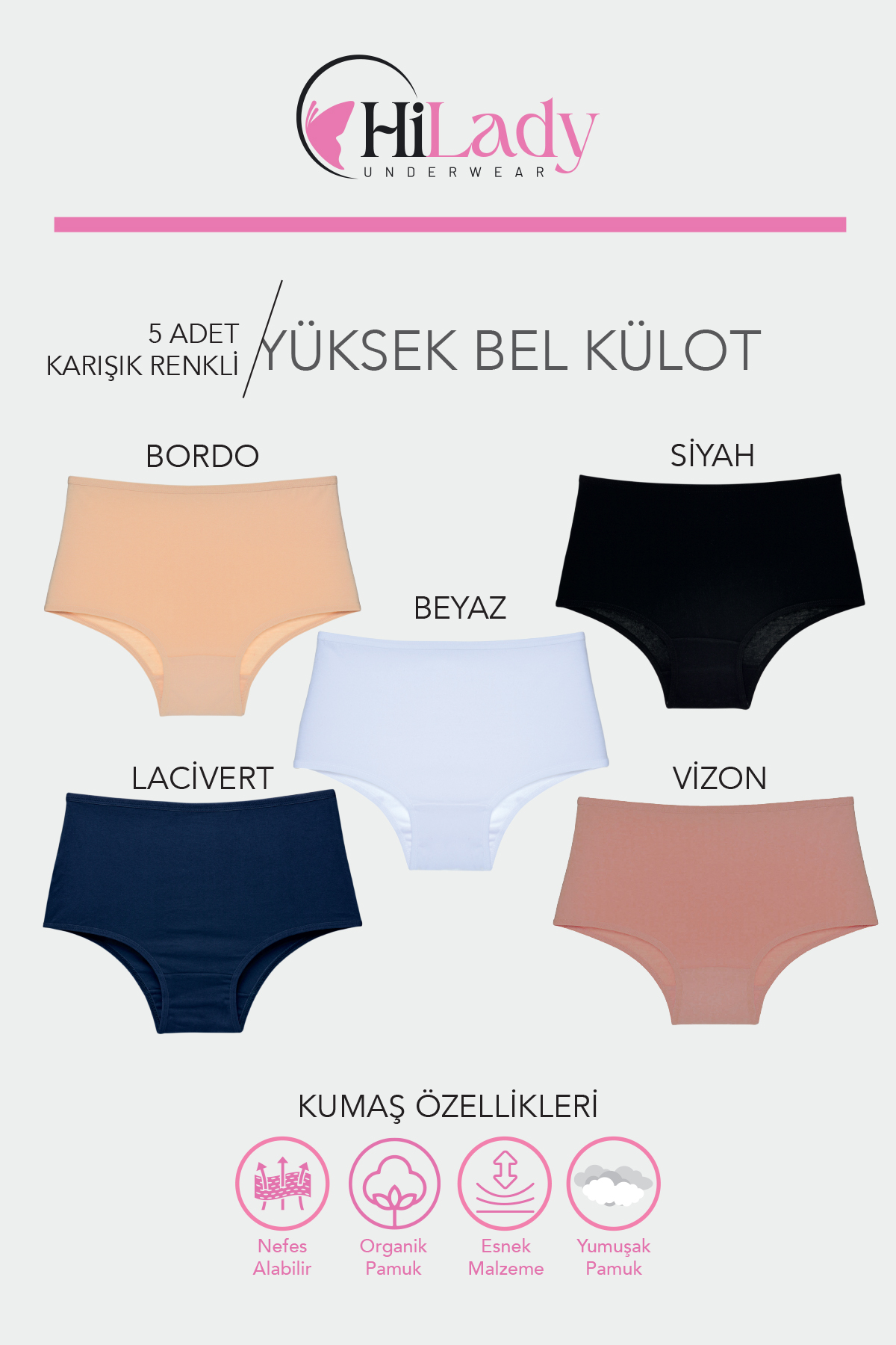 HiLady Kadın Külot, Vizonlu Karışık Renkli Yüksek Bel Külot, 5'li Paket - Görsel 2