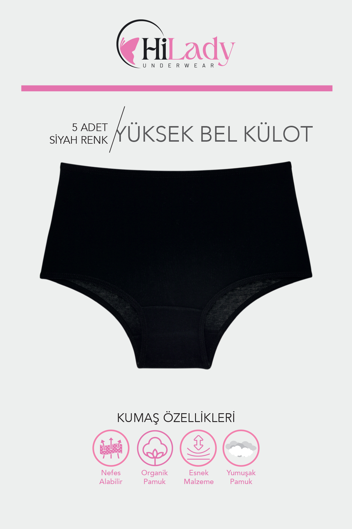 HiLady Kadın Külot, Siyah Yüksek Bel Külot, 5'li Paket - Görsel 2